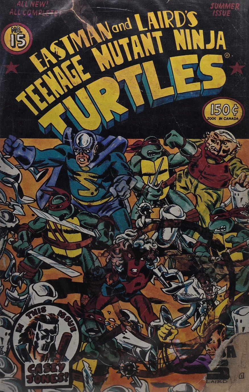 Teenage Mutant Ninja Turtles #15 — Casey Jones — Summer Issue