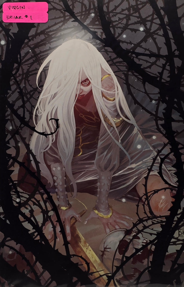Briar #1 — Virgin Variant Cover (Image Comics, 2023)